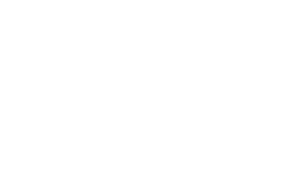 Fundación Chile